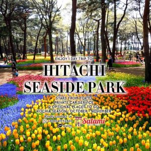hitachi seaside park tour