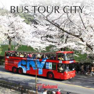 Bus Tour City