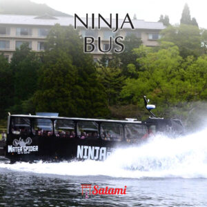 Ninja Bus