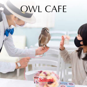 Owl Cafe