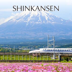 Shinkanshen Ticket