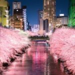 TOP 7 SAKURA LOCATIONS IN TOKYO