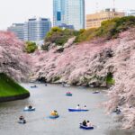 FUN ACTIVITIES IN MARCH-APRIL YOU MUST TRY IN JAPAN!