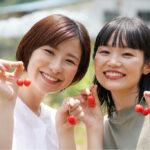 Fruit Picking Season in Yamanashi: A Sweet Summer Experience in Japan