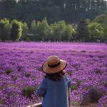 7 Must Visit Summer Destinations in Japan