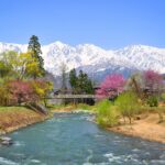 Summer Day Trips from Tokyo: 5 Refreshing Escapes for Your Japan Vacation