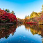 Unlocking Karuizawa. Japan’s Quiet Autumn Haven Away from the Crowds
